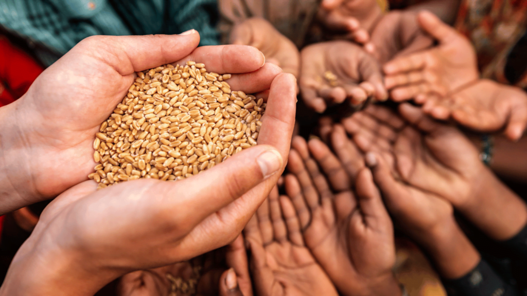 NEW LIFE & LIGHT MISSION - https://www.nllm.in